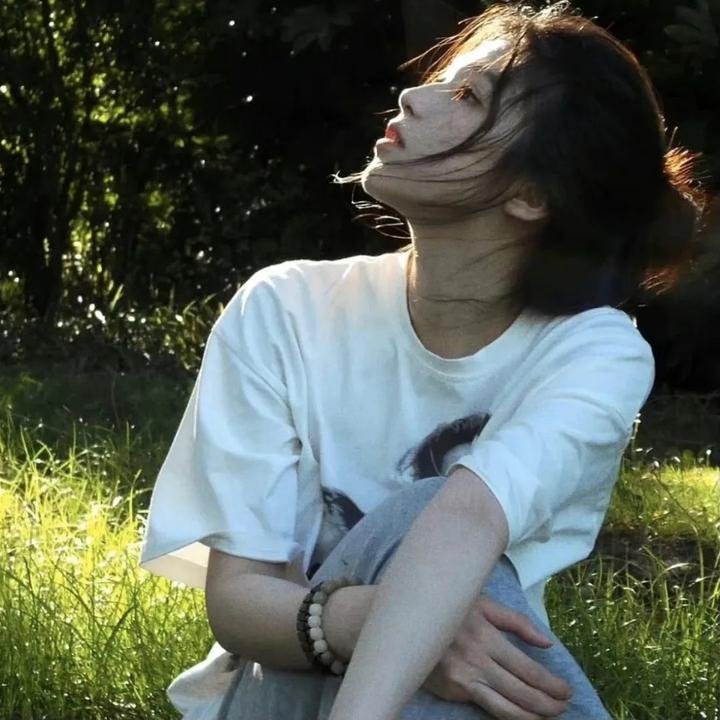 赘婿动画版